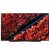 LG 55C9PLA – TV OLed – 55 pouces / 139 cm